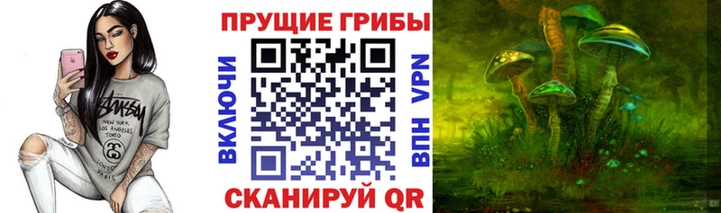 blacksprut маркетплейс  Мичуринск  Галлюциногенные грибы Psilocybine cubensis  наркотики 